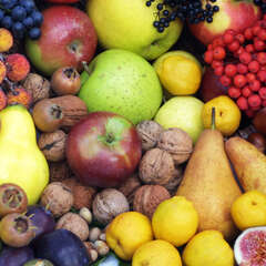 Obst - 23 - Frisch, köstlich, gesund - so ist Obst aus dem eigenen Garten.  (-998)