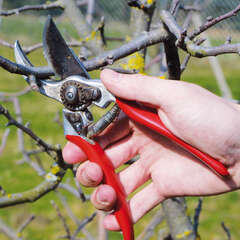 Werkzeug, Bewässerung - 5 - Um einen Garten anzulegen, zu pflegen und bewässern bedarf es an… (-9922)