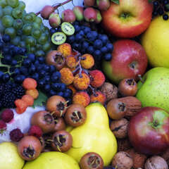 Sonst. Obst - 87 (29)