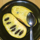 Asimina triloba Fruchtsorte - Pawpaw, Indianerbanane