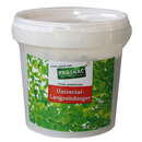 Maulbeerbaum kaufen Maulbeerbaum kaufen