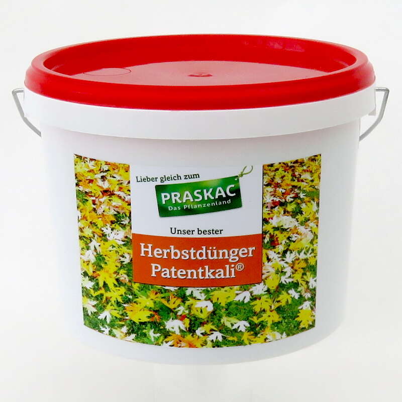 Herbstdnger Patentkali