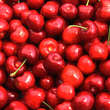 Prunus av. 'Van': Bild 2/3
