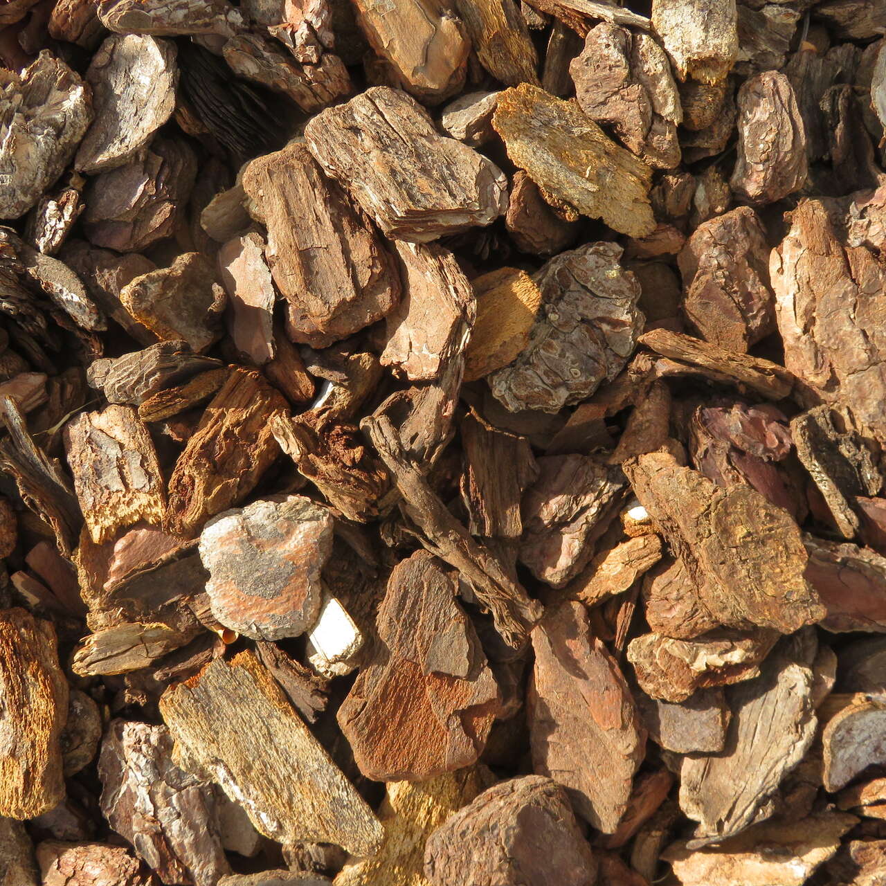 Rinde Pinie 20-40mm Euflor