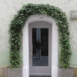 Hedera helix: Bild 5/9