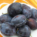 Prunus domestica 'Topend Plus' - Zwetschke