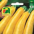 Zucchini Gold Rush F1: Bild 1/2