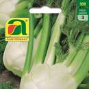 Fenchel "De Florencia" - Fenchel "De Florencia"