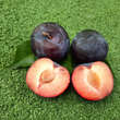 Prunus salicina 'Black Amber': Bild 2/2