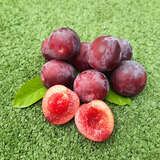 Prunus salicina 'Flavour King' - Japanpflaume