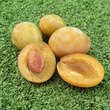 Prunus domestica 'Gelber Spilling': Bild 1/1