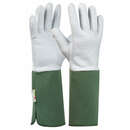 Handschuh Rosen Tommi - Handschuh Rosen Tommi