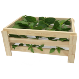 Kräutertrockner 3-teilig - Kräutertrockner 3-teilig