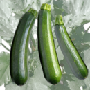 Zucchini grün - Zucchini grün