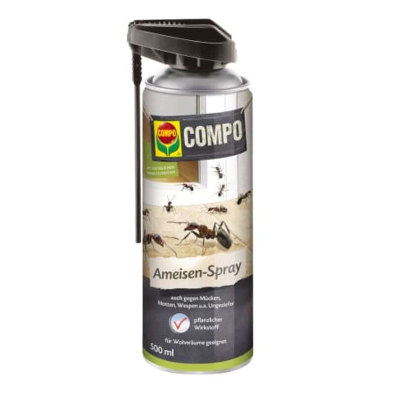 blumenkohl saatgut Blumenkohl «Goodman» Bio Saatgut – Zollinger Bio