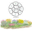 Ganzjahres-Blumenbeet Kollektion Nr. 520: Bild 3/15