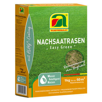 Nachsaatrasen Easy Green