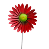 Windrad Gerbera - Windrad Gerbera