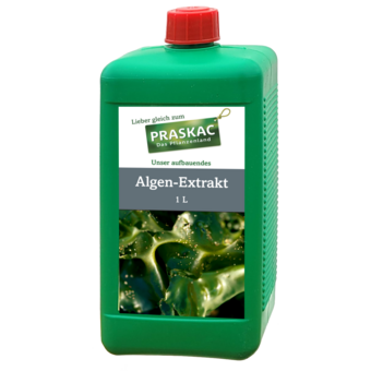 Algen-Extrakt
