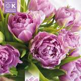 Tulipa Wedding Bouquet - Gefülltblütige Tulpe