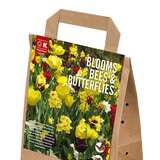 Zwiebelmischung gelbrot Schmetterling - Tulpen,Narzissen-Mischung