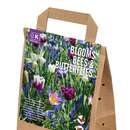 Zwiebelmischung blau Schmetterling - Tulpen,Narzissen-Mischung