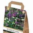 Cottage Garden Verwilderungs Mischung: Bild 1/1