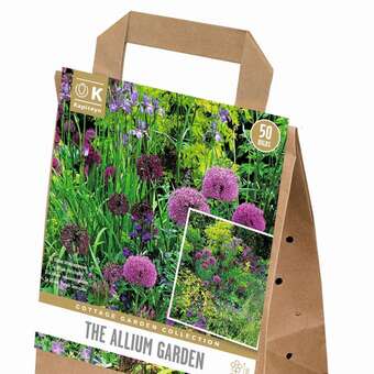 Cottage Garden Allium Mischung