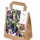 Blumenzwiebeln Duftkollektion - Blumenzwiebeln Duftkollektion