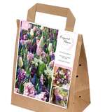 Blumenzwiebeln Duftkollektion - Blumenzwiebeln Duftkollektion