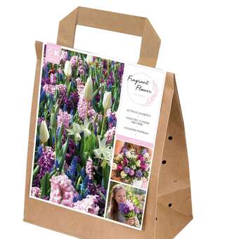 Blumenzwiebeln Duftkollektion