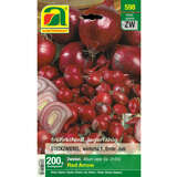 Allium cepa Red Arrow - Roter Steckzwiebel