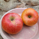 Malus domestica 'Braeburn' - Winterapfel
