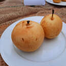 Pyrus pyrifolia 'Hayatama' - Nashi-Birne