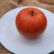 Malus domestica 'Rondo': Bild 5/6