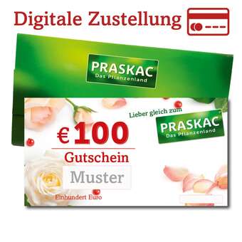 Digital-Gutschein 100,-Euro