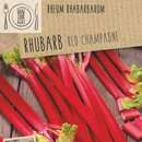 Rheum rhabarbarum - Rhabarber