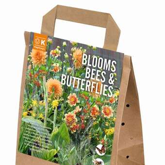 Zwiebelmischung für Bienen orange