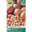 Allium cepa Sturon - Steckzwiebel Sturon Gelb