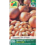 Allium cepa Sturon - Steckzwiebel Sturon Gelb