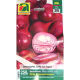 Allium cepa - Steckzwiebel Rote Braunschweige