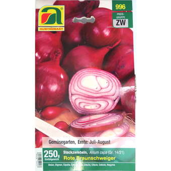 Allium cepaRote Braunschweiger