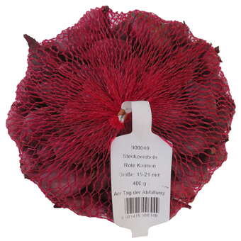 Allium cepa