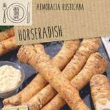 Armoracia rusticana - Kren,Meerrettich