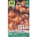 Allium cepa Bio - Steckzwiebel Sturon Bio