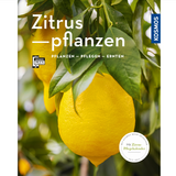 Zitrusplanzen - Zitrusplanzen