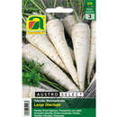 Wurzelpetersilie "Lange Oberlaaer" - Wurzelpetersilie "Lange Oberlaaer"