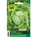 Eissalat "Grazer Krauthäuptel 2" - Eissalat "Grazer Krauthäuptel 2"