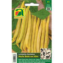 Buschbohne "Wachs Beste von Allen (Brittle Wax)" - Buschbohne "Wachs Beste von Allen (Brittle Wax)"
