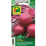 Rote Rüben "Rote Kugel 2" - Rote Rüben "Rote Kugel 2"